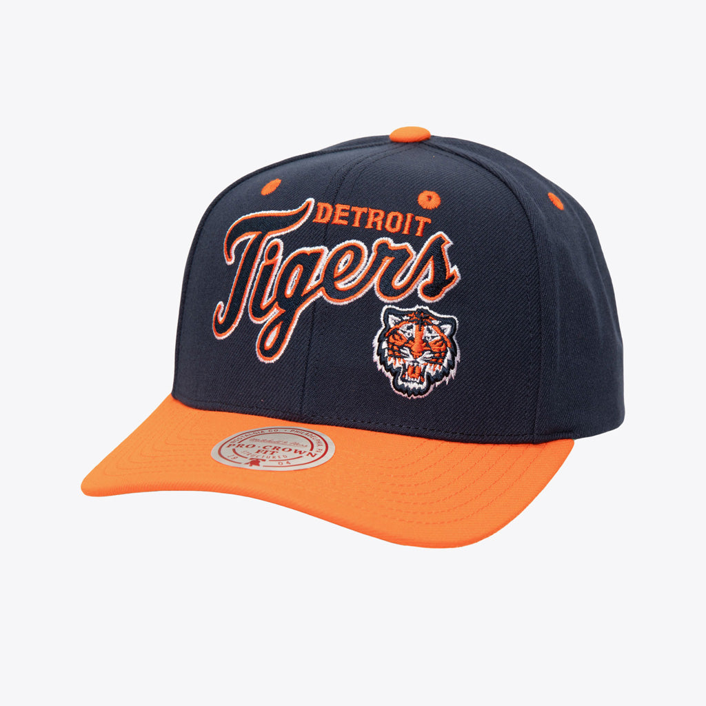 MLB Detroit Tigers Mitchell &amp; Ness Cooperstown All In 2.0 Pro Snapback