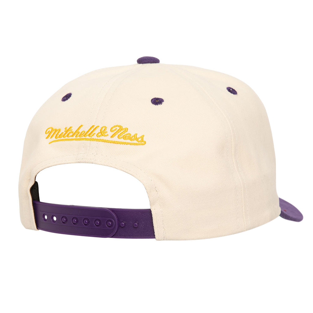 NBA Los Angeles Lakers Mitchell &amp; Ness Horizon Pro Snapback