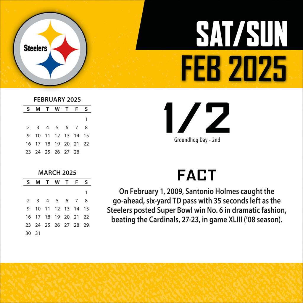 NFL Pittsburgh Steelers 2024-2025 Boxed Calendar