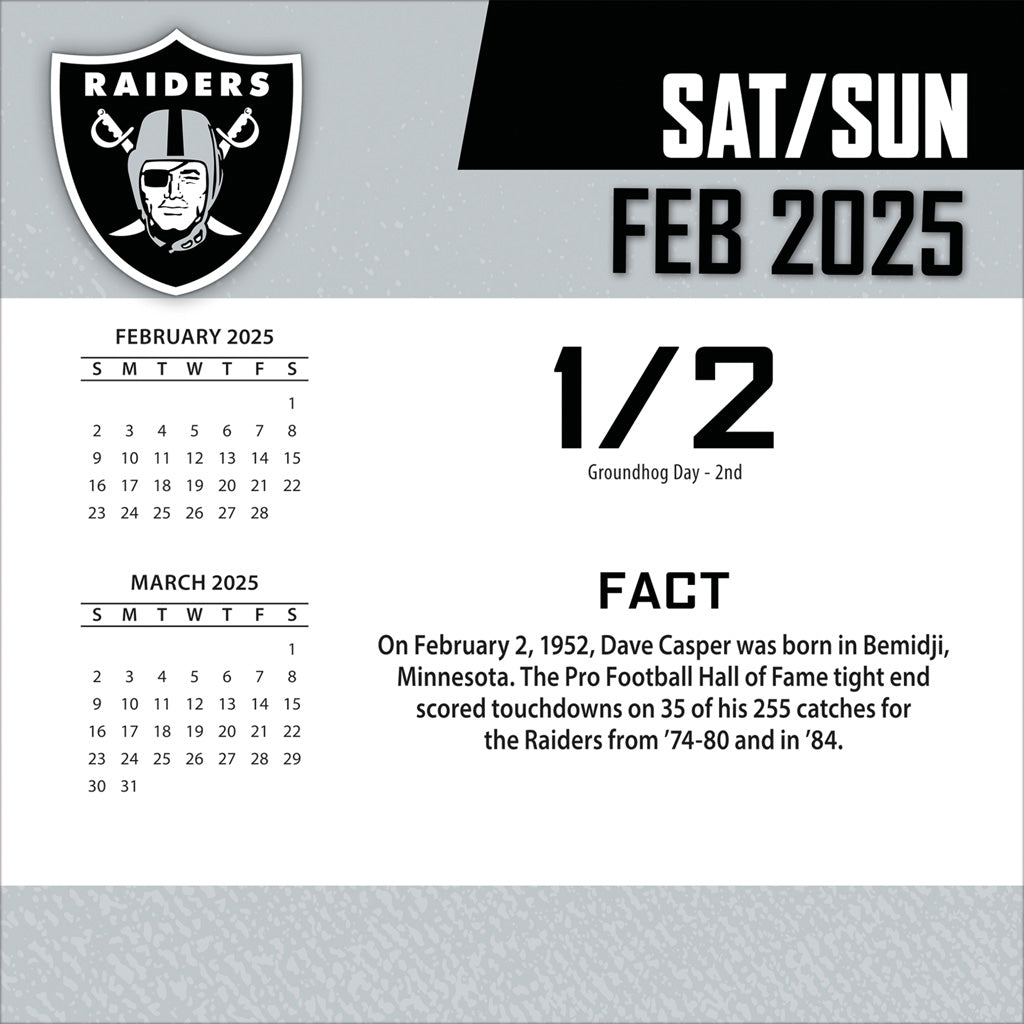 NFL Las Vegas Raiders 2024-2025 Boxed Calendar