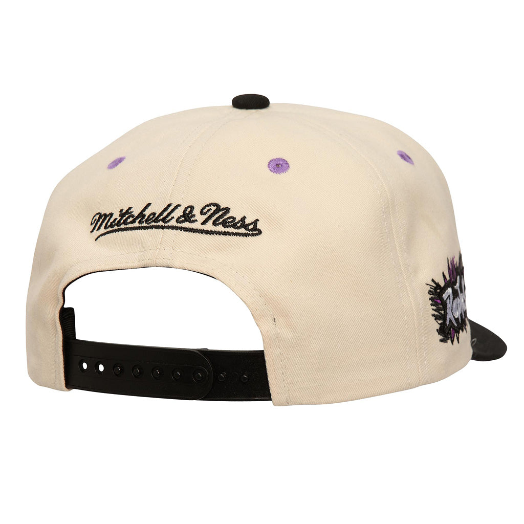 NBA Toronto Raptors Mitchell &amp; Ness Overspray Pro Snapback