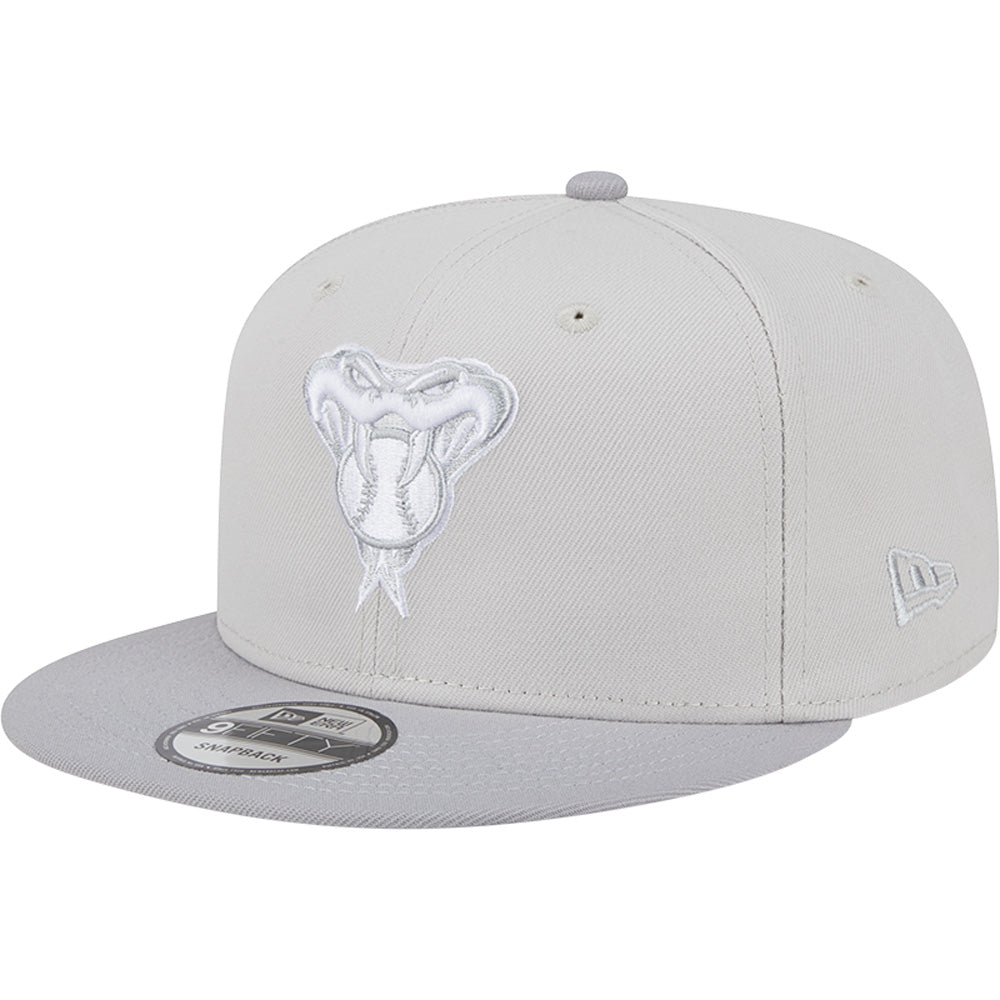 MLB Arizona Diamondbacks New Era Two-Tone Color Pack Overcast 9FIFTY Snapback