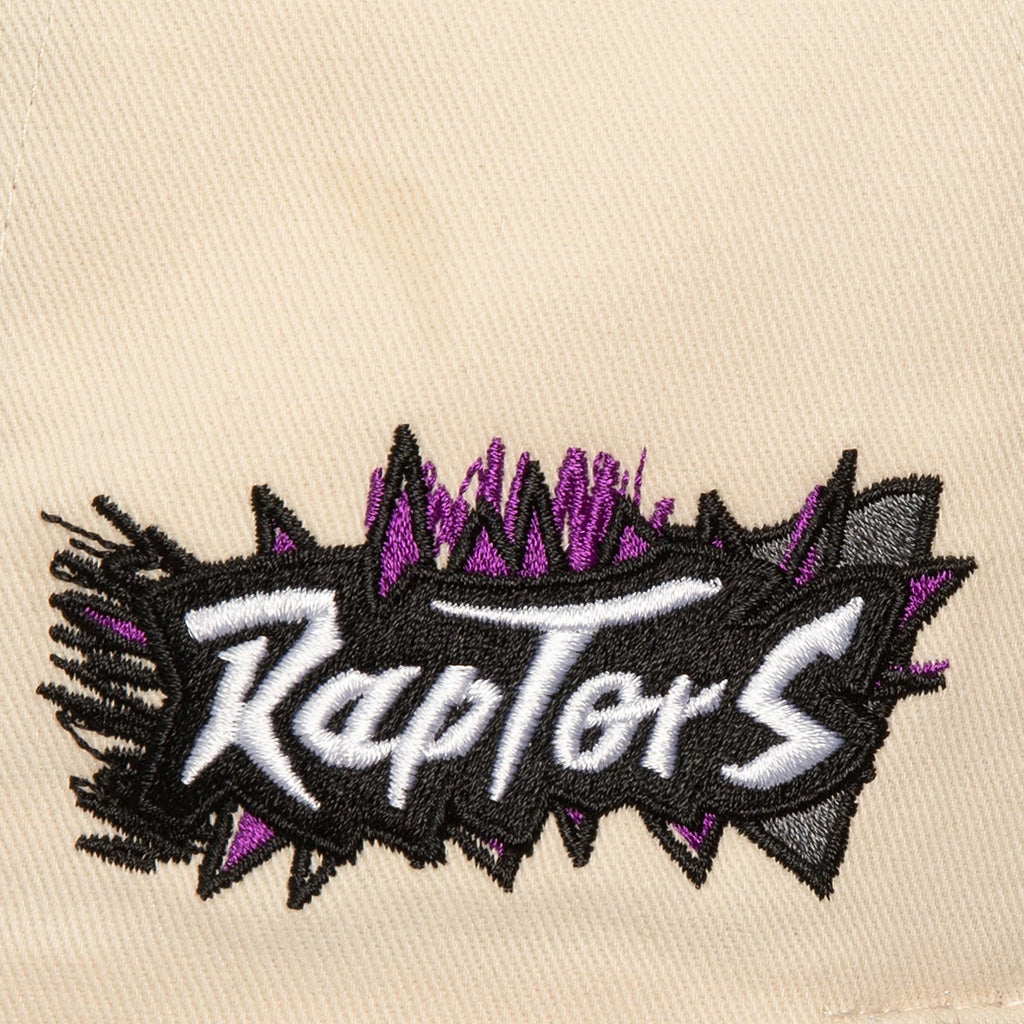 NBA Toronto Raptors Mitchell &amp; Ness Overspray Pro Snapback