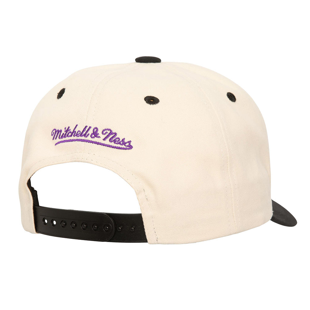 MLB Arizona Diamondbacks Mitchell &amp; Ness Horizon Pro Snapback