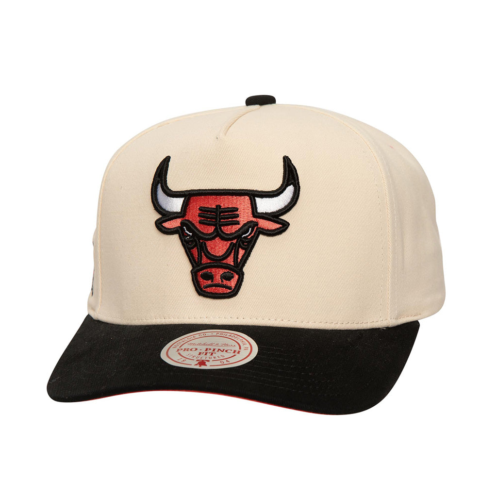 NBA Chicago Bulls Mitchell &amp; Ness Overspray Pro Snapback