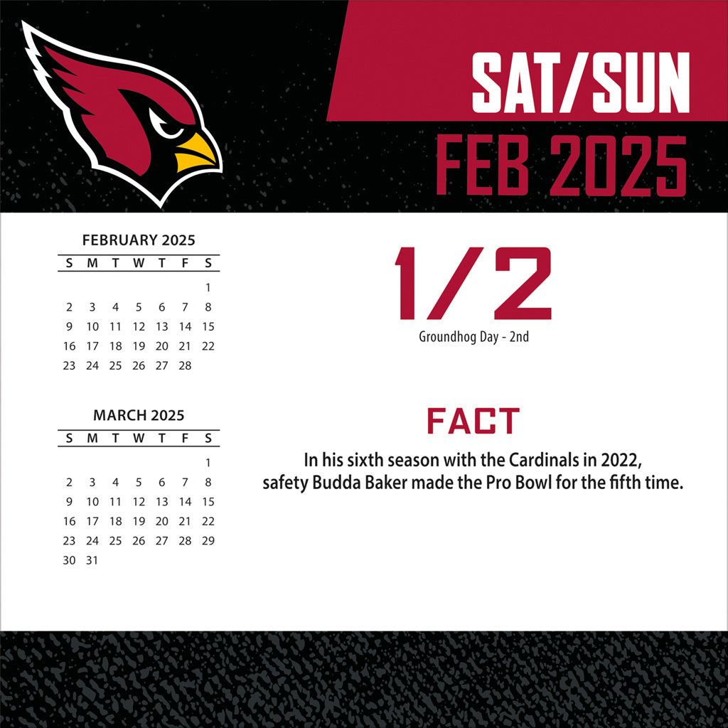 NFL Arizona Cardinals 2024-2025 Boxed Calendar