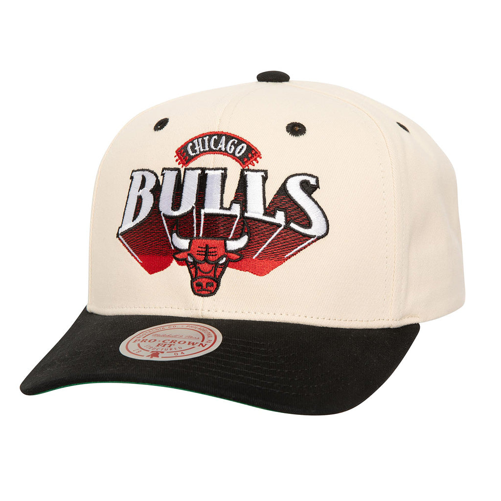 NBA Chicago Bulls Mitchell &amp; Ness Horizon Pro Snapback