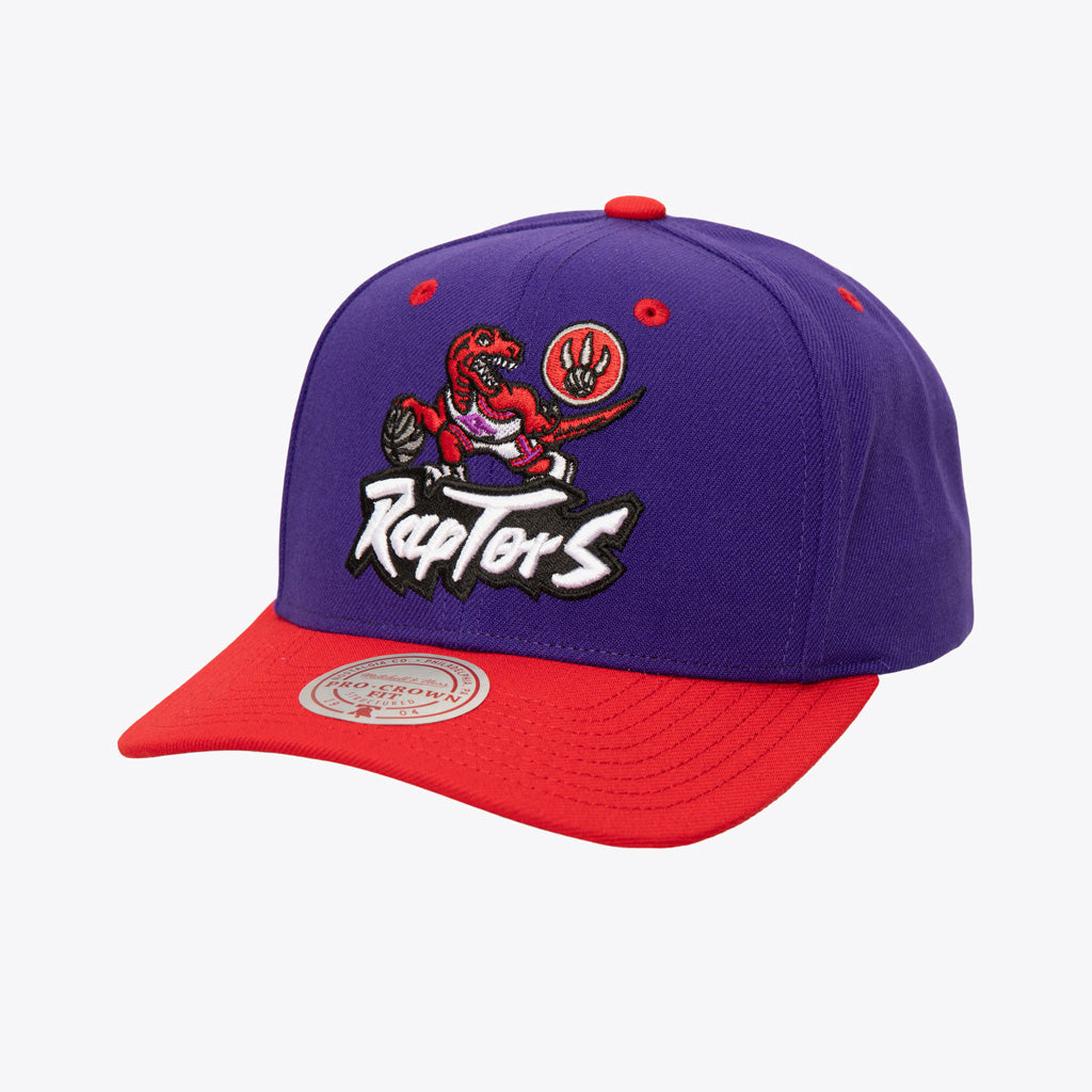 NBA Toronto Raptors Mitchell &amp; Ness Cooperstown All In 2.0 Pro Snapback