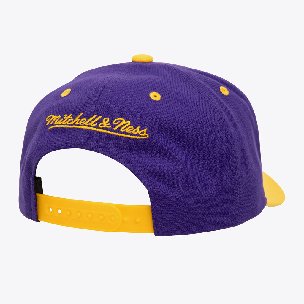 NBA Los Angeles Lakers Mitchell &amp; Ness Cooperstown All In 2.0 Pro Snapback